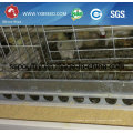 Automatischer H-Typ Chicken Layer Cage für Broiler